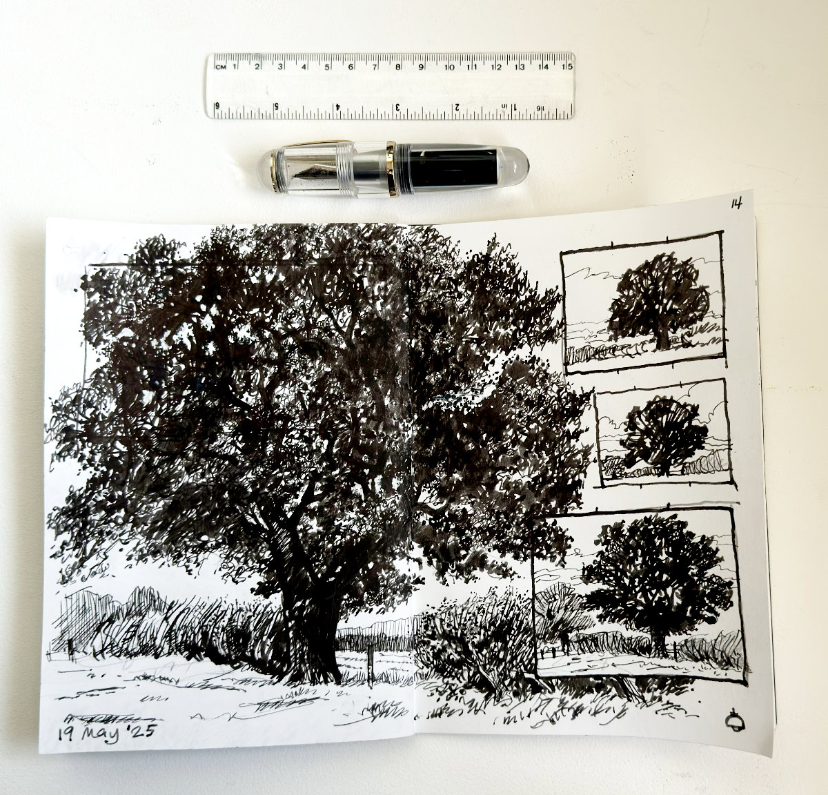 Lynne Roebuck tweet media