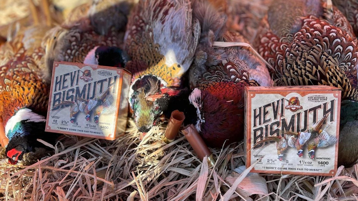 We only hunt with the best ammo out there. We want you to knock down the roosters and not wound them.  But if you do not to worry our dogs will track them down. Heavy quality shot makes a bid difference.