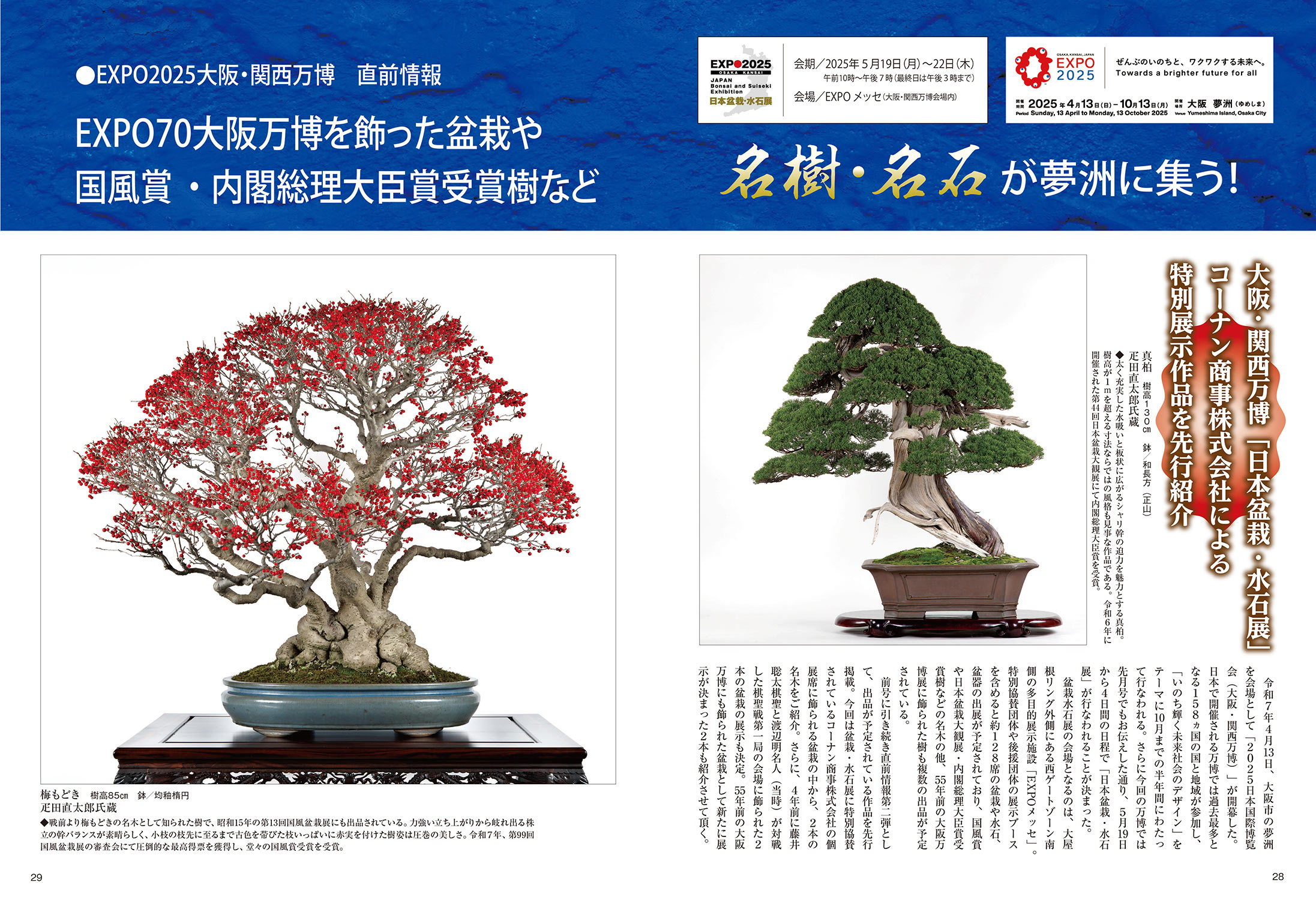 世界の盆栽・水石展＜第10回＞(日本盆栽協会) / 古本屋えん