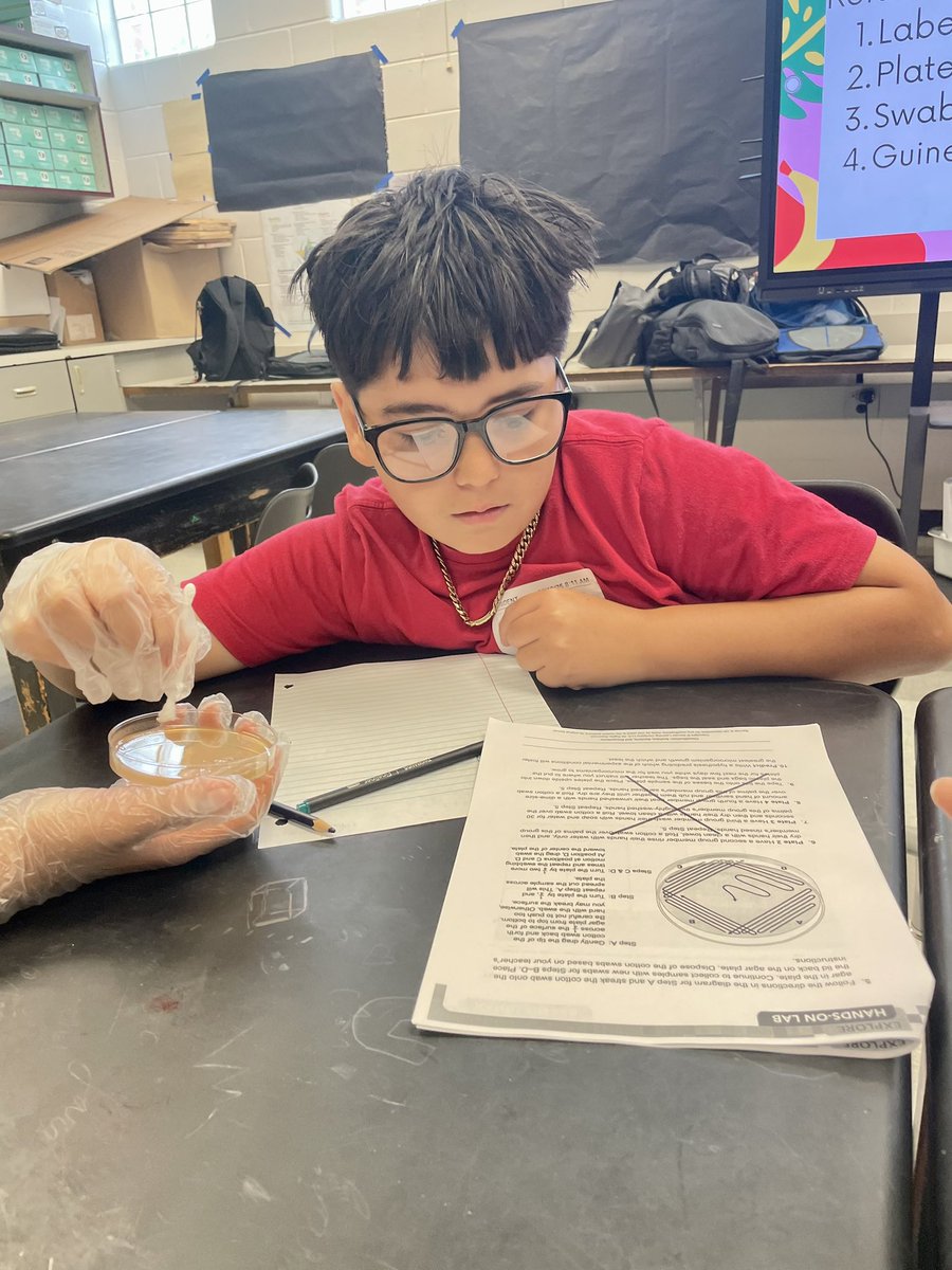 Ms. Williams tweet media