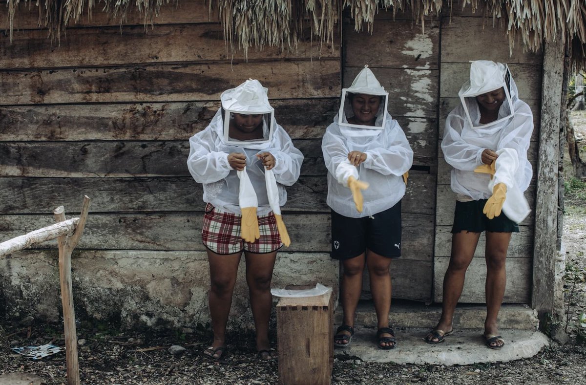 UN Development tweet media