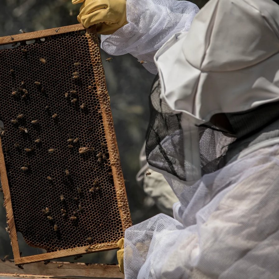 UN Development tweet media