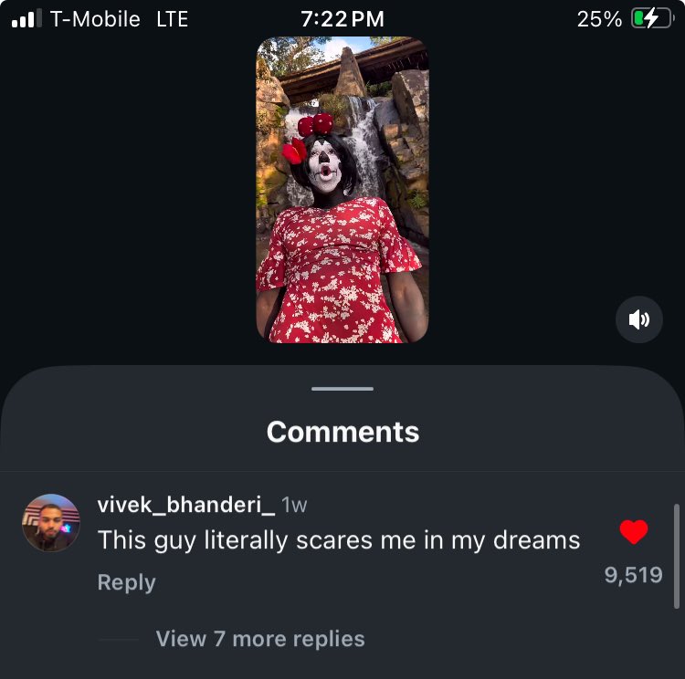 Ice Phoenix tweet media