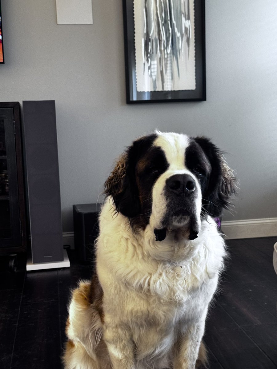 Dave Growl tweet media