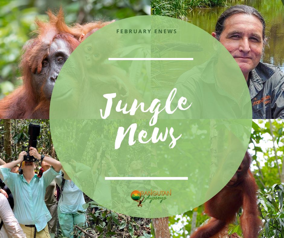 OrangutanO's tweet photo. 2026 Elephant Odysseys Tours in Sri Lanka and Laos🐘 - https://t.co/X9EGkuMkbm https://t.co/6Q2JCY9ih1