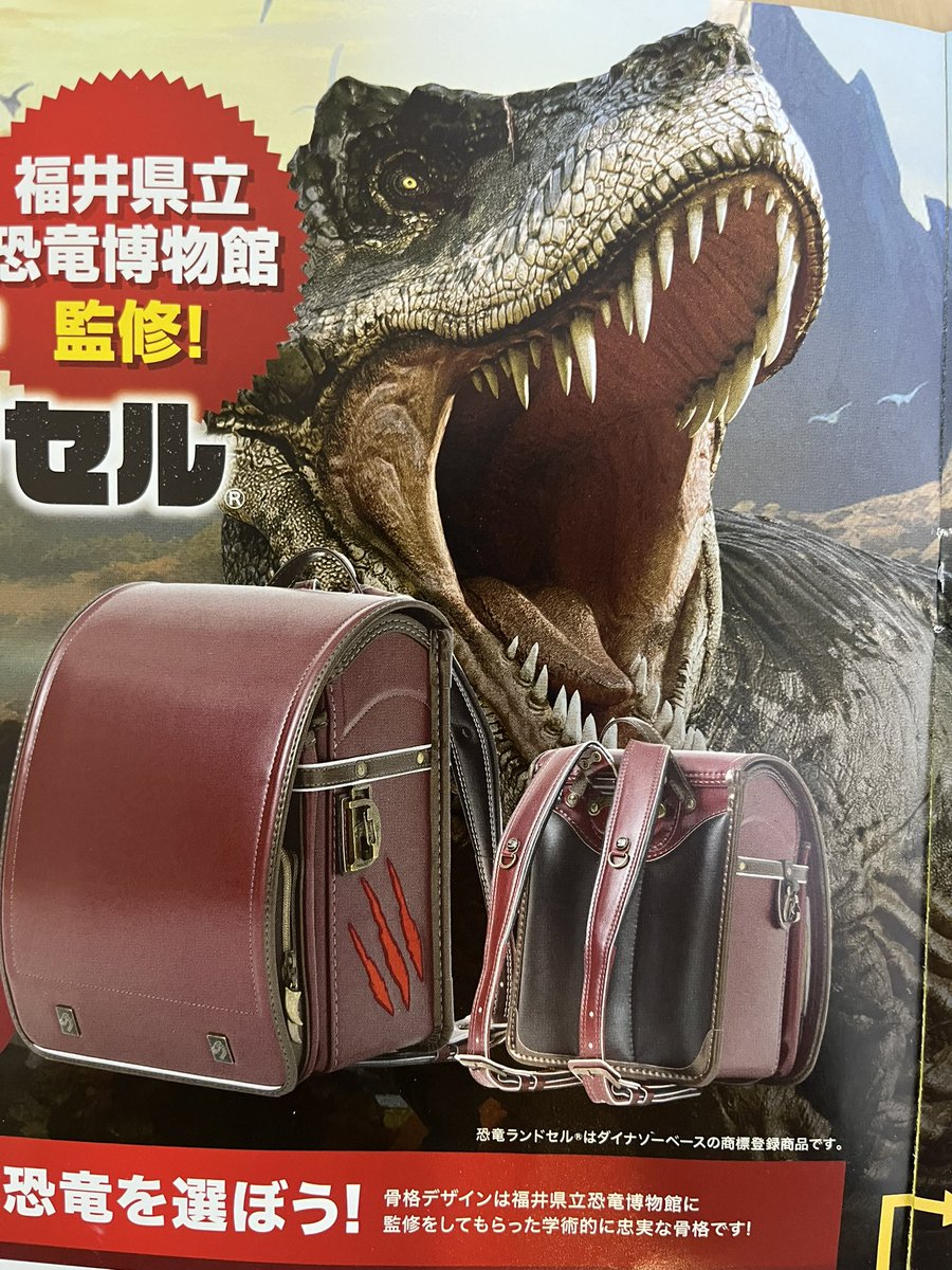 mitsuko_micchan's tweet photo. 福井恐竜博物館監修の恐竜ランドセル🦖
息子が年少の時に出会い、私が一目惚れ😍
恐竜好きの息子にピッタリで息子もお気に入り❤️
これは運命だね⭐️
早々ラン活終わって一安心。
ダイナソーベースの皆さん、ありがとうございました(^o^)

#恐竜ランドセル
@yamako888 https://t.co/RhtfgpUIlw