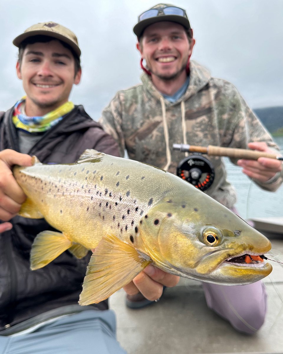 ElevenAngling (@elevenangling) on Twitter photo In Chile, large foam terrestrials are often the name of the game. If you like explosive surface eats, these trout can deliver.
#flyfishing #flyfish #elevenangling #elevenexperience <a href="/elevenexperienc/">Eleven Experience</a> In Chile, large foam terrestrials are often the name of the game. If you like explosive surface eats, these trout can deliver.
#flyfishing #flyfish #elevenangling #elevenexperience <a href="/elevenexperienc/">Eleven Experience</a>