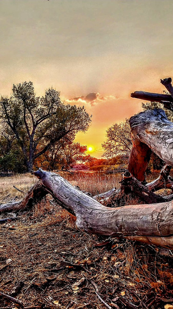 RikuMaggie @maggieriku0406 - Twitter Profile | Sotwe