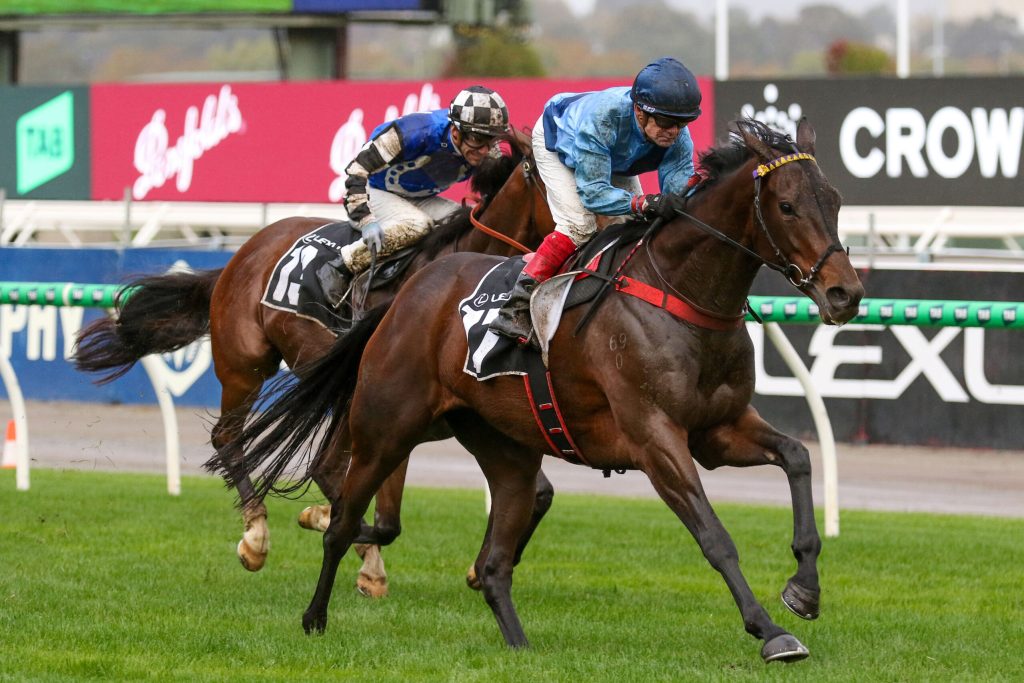 NZ Racing News (@nzracingnews) on Twitter photo NEWS: A mare purchased off <a href="/gavelhouse/">gavelhouse.com</a> for <a href="/Em_spartaracing/">Emma-lee Browne</a> has produced a guaranteed Melbourne Cup runner with homebred Basilinna. Read more here racingnews.co.nz/gift-produces-… NEWS: A mare purchased off <a href="/gavelhouse/">gavelhouse.com</a> for <a href="/Em_spartaracing/">Emma-lee Browne</a> has produced a guaranteed Melbourne Cup runner with homebred Basilinna. Read more here racingnews.co.nz/gift-produces-…
