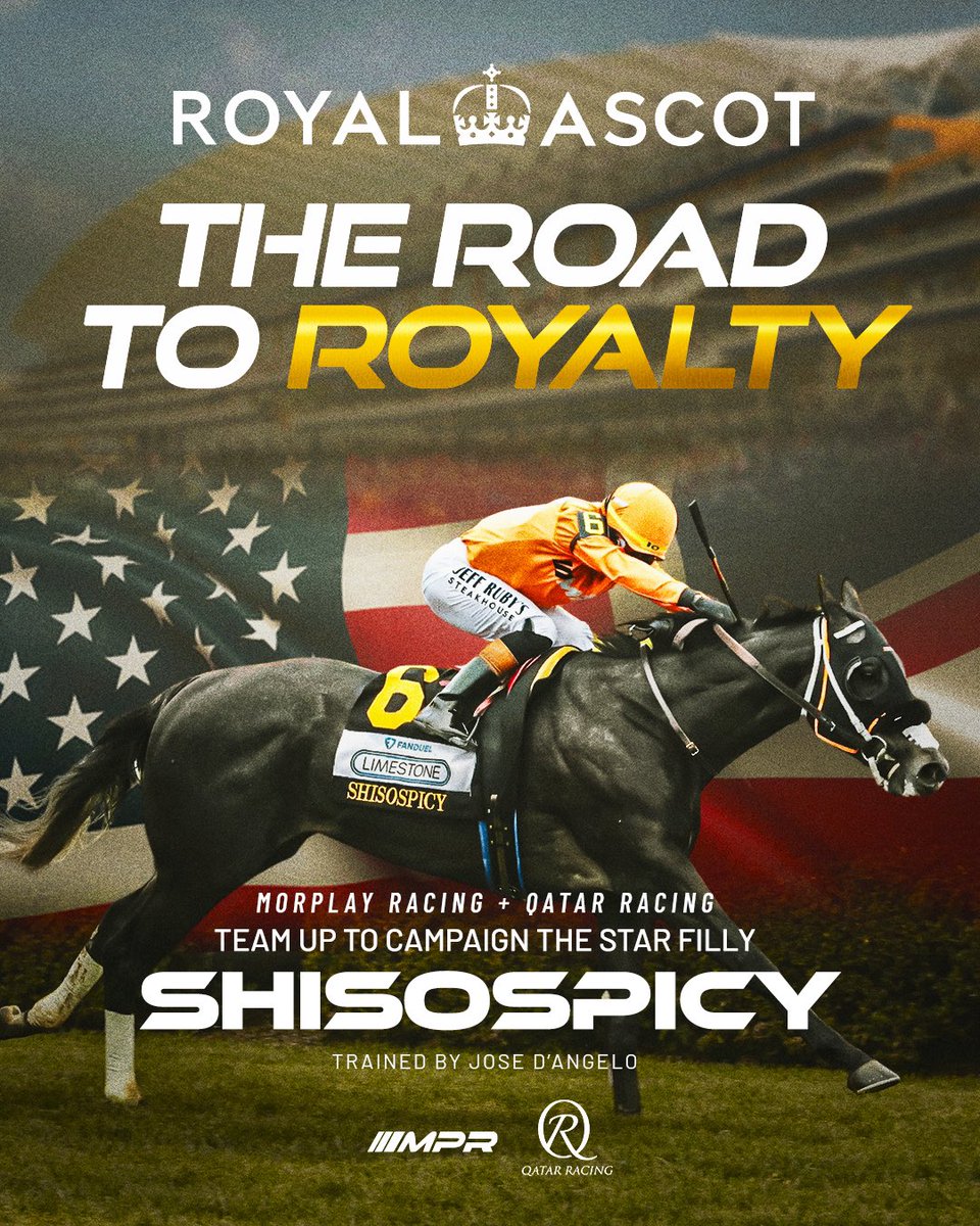 MORPLAY RACING (@morplayracing) on Twitter photo We’ve teamed up with <a href="/Qatar_Racing/">Qatar Racing</a> to take Shisospicy global 🌍🏇
After big wins in the Limestone & Mamzelle, she’s headed to the <a href="/Ascot/">Ascot Racecourse</a> with Kentucky Downs & the Breeders’ Cup on deck.
The Road to Royalty starts now!
#Shisospicy #MorplayRacing #QatarRacing #RoyalAscot We’ve teamed up with <a href="/Qatar_Racing/">Qatar Racing</a> to take Shisospicy global 🌍🏇
After big wins in the Limestone & Mamzelle, she’s headed to the <a href="/Ascot/">Ascot Racecourse</a> with Kentucky Downs & the Breeders’ Cup on deck.
The Road to Royalty starts now!
#Shisospicy #MorplayRacing #QatarRacing #RoyalAscot