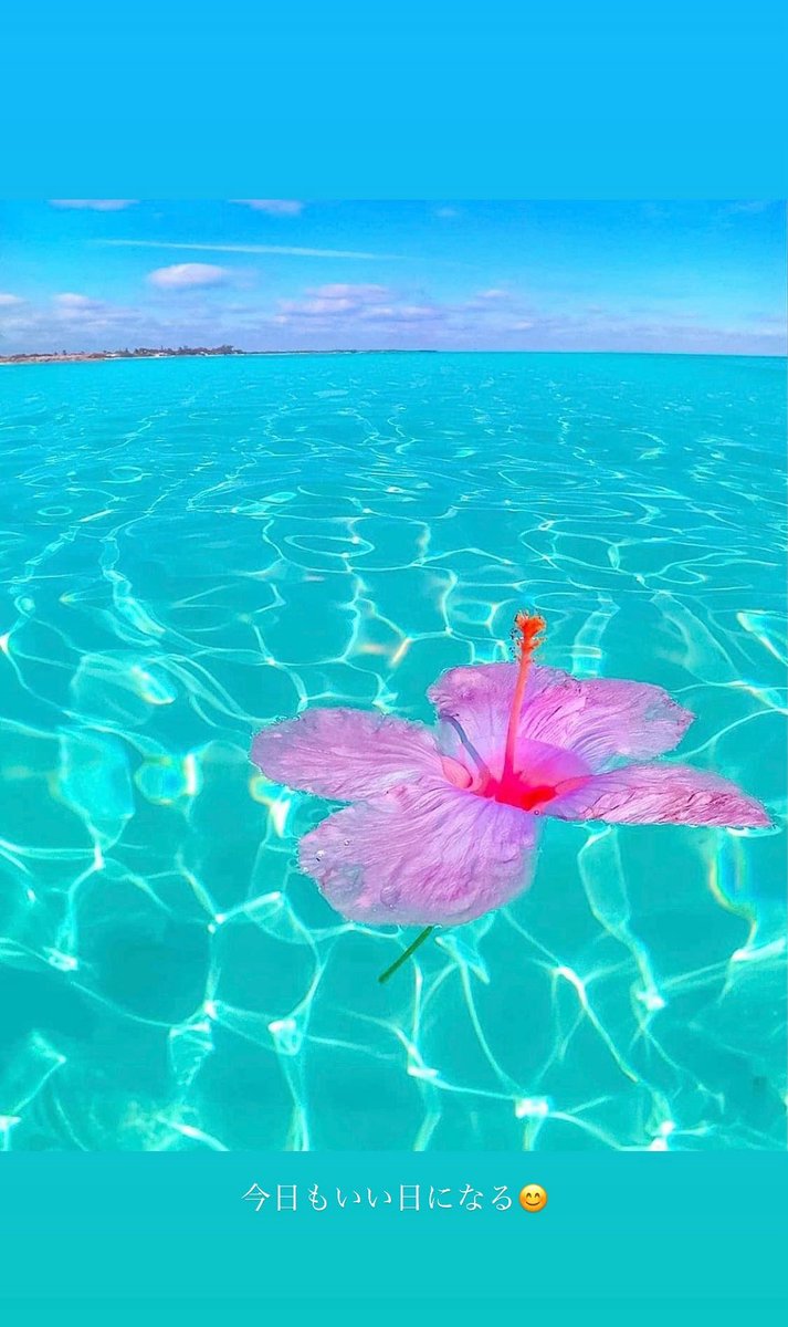 そろそろ夏の気配🏝️
月末には #平井大 のLIVEもあるし
今年の夏も楽しくなる予感☀️🏝️