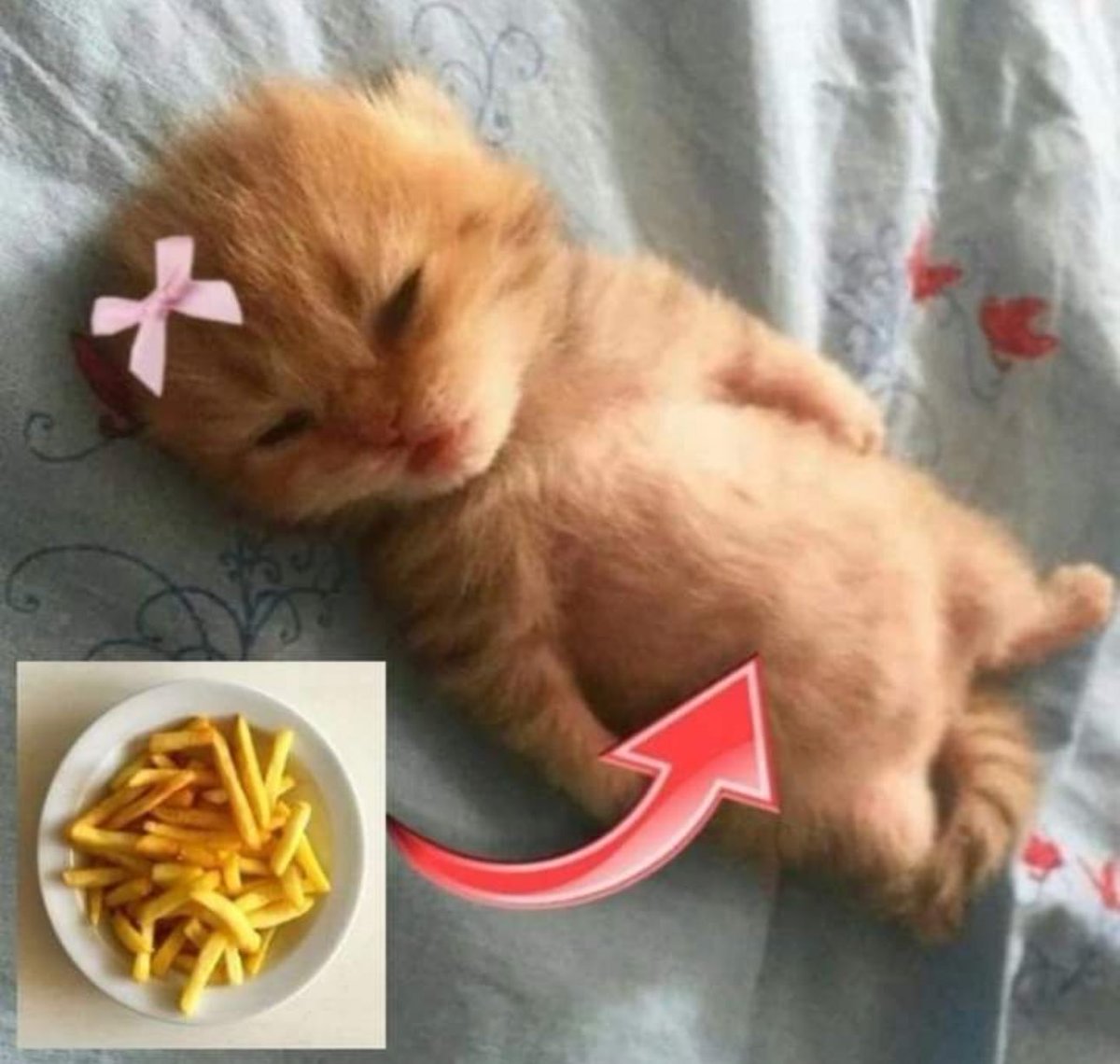 Shitpost só que de verdade (@shitpostverdade) on Twitter photo 