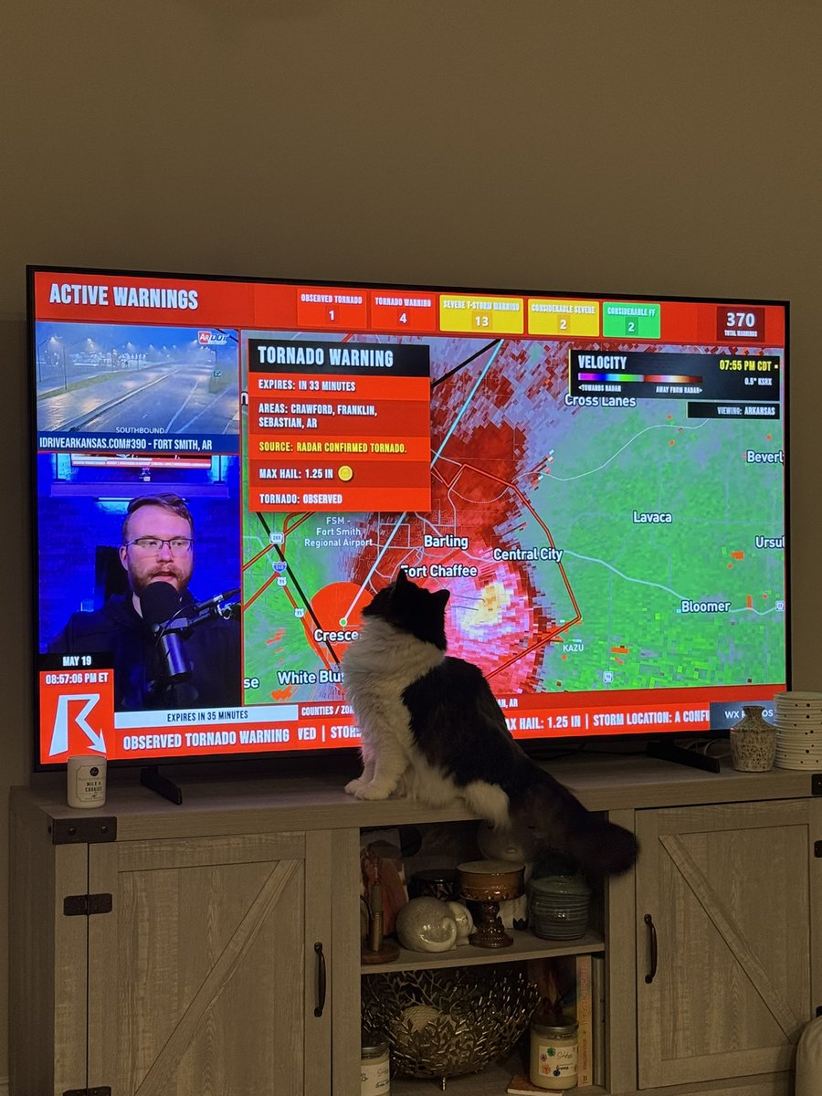 Delawaree_'s tweet image. Sitting with the wife watching our cat help with today’s storm coverage. She’s getting prepped for another round of storms here in Kentucky tomorrow 🫡  

@ryanhallyall