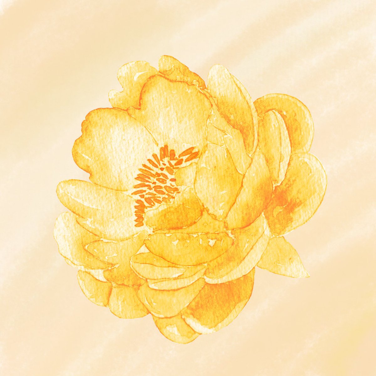 alonsart's tweet photo. “In the silence of petals,
a golden bloom whispers hope.” 🌼✨
#NFTArt #FlowerArt #OpenSeaNFT #DigitalPainting #GoldenBloom #CryptoArt #Web3 #NFTCommunity https://t.co/0eozE7ksdY