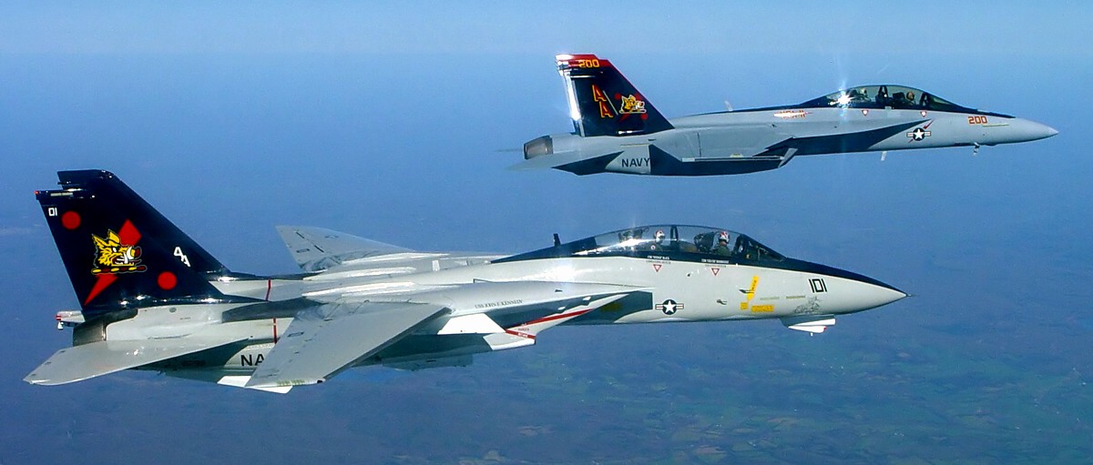 AdastraArthur's tweet image. Professional moron, i like jets, cars, tanks, ships, ace combat and a bunch of autistic shit, i aspire to land a jet on a boat before i die, number one naval aviation lover, absolutely loves the Tomcat, did i say i got questionable skills on DCS? Idk man i want to be loved.