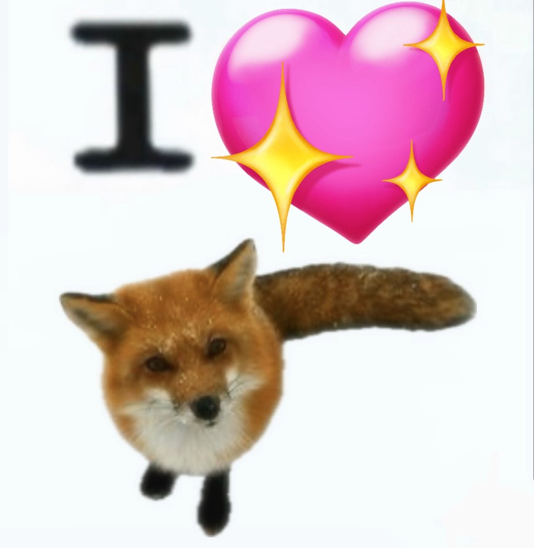TheFoxLife's tweet photo. 🦊+💖 https://t.co/7r8oVK8M3m