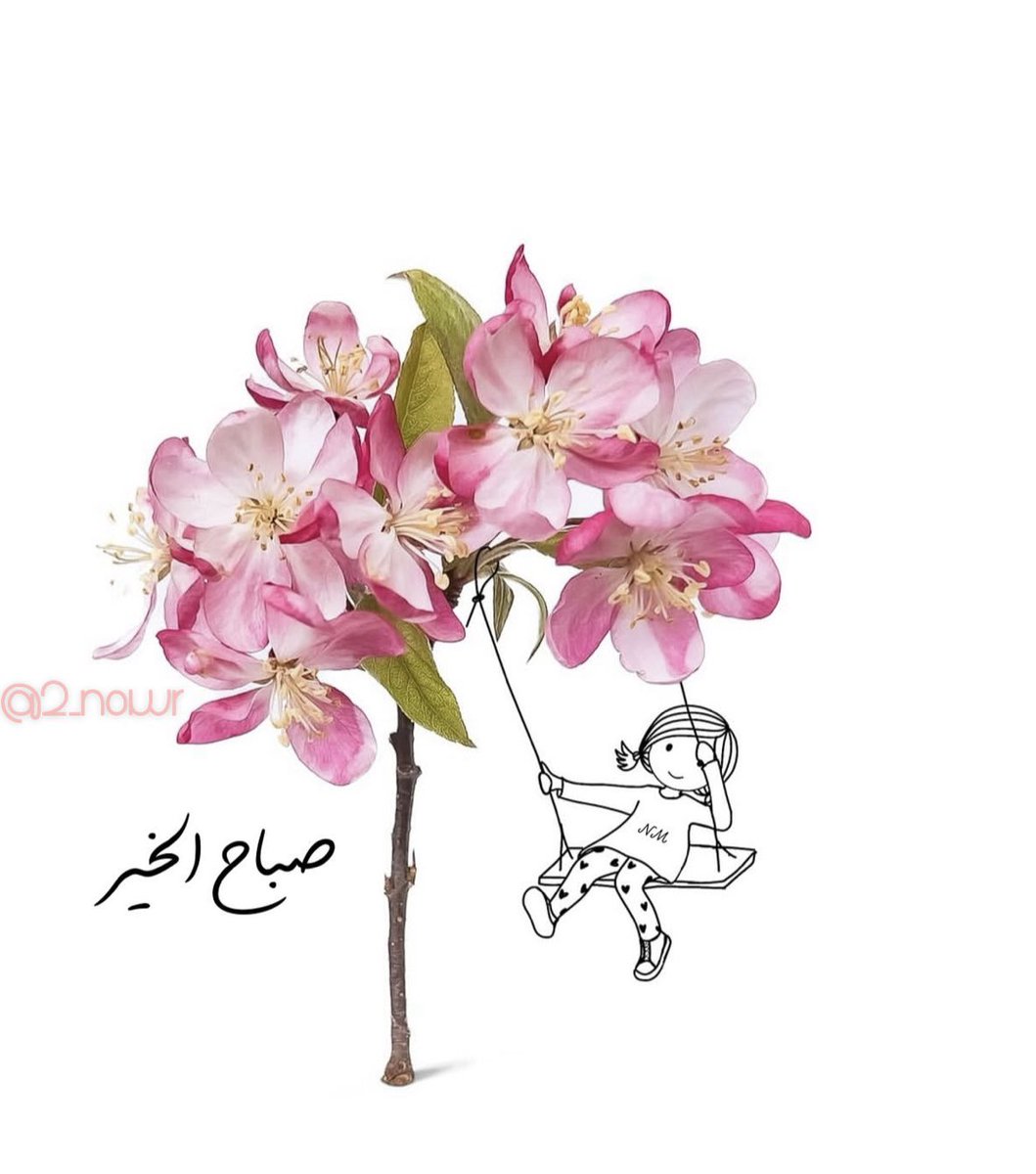  noor tweet media