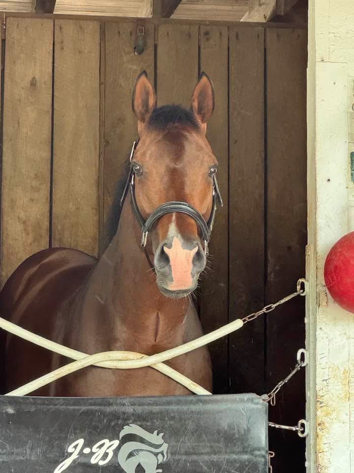 Jordan Blair Racing (@jblairracing) on Twitter photo This Is Uscar runs Monday <a href="/lonestarpark/">Lone Star Park</a> in the Grade III Steve Sexton Mile π for Table 38 Racing <a href="/EliotH77/">EGH</a> and <a href="/KatieRichFarms/">KatieRich Farms</a> with Cabrera upπππ This Is Uscar runs Monday <a href="/lonestarpark/">Lone Star Park</a> in the Grade III Steve Sexton Mile π for Table 38 Racing <a href="/EliotH77/">EGH</a> and <a href="/KatieRichFarms/">KatieRich Farms</a> with Cabrera upπππ