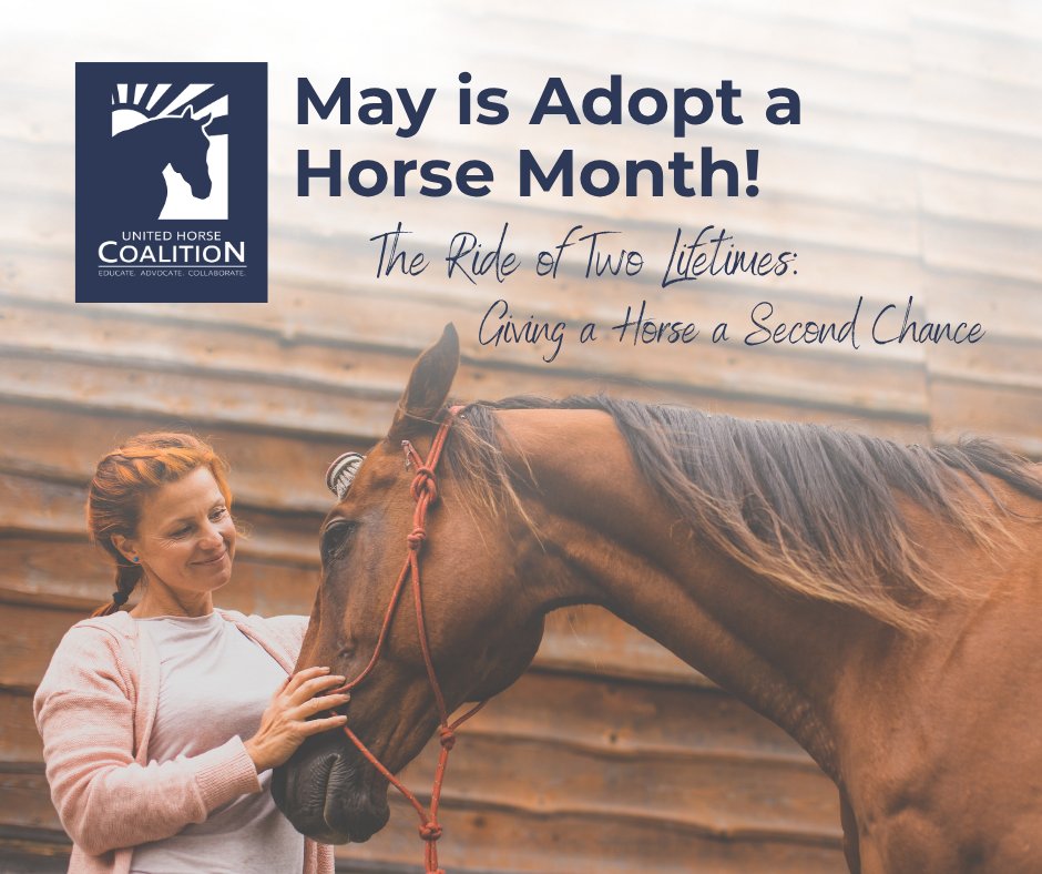 Did you know that May is Adopt A Horse Month? 🐴

Read more here: unitedhorsecoalition.org/the-ride-of-tw…

#HereforHorseOwners #HereForHorses #ResponsibleHorseOwnership #UnitedHorseCoalition