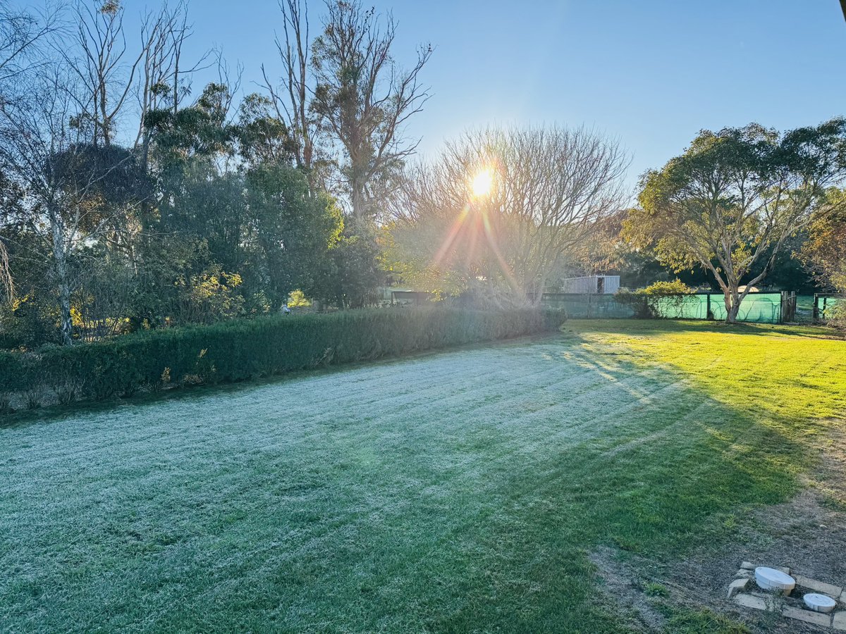 rn_lilydale's tweet image. Also frosty in #TinyTown SA this morning