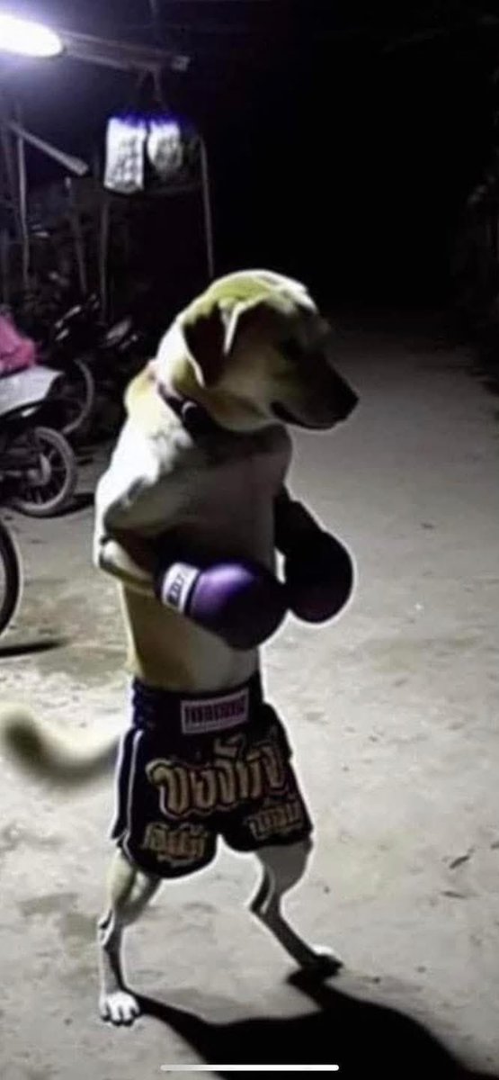 “got that dawg in me”