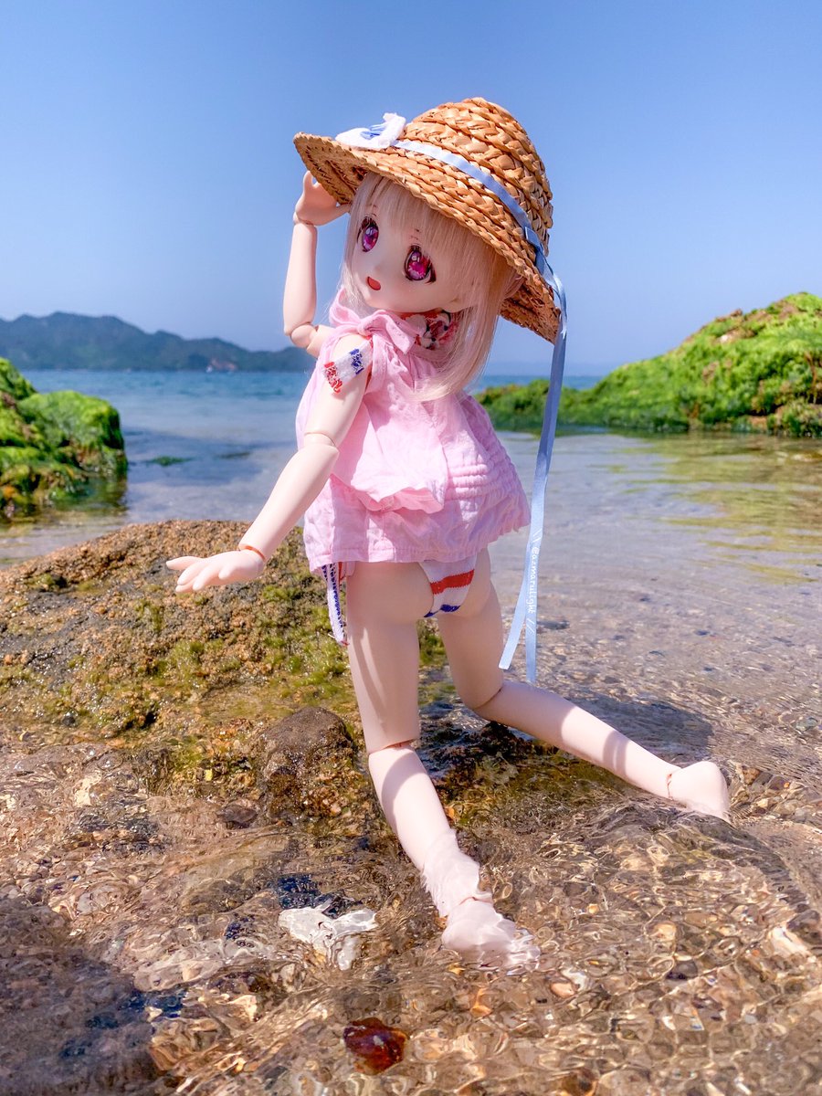 もう夏日🔆👒🏖
#うちのこかわいい