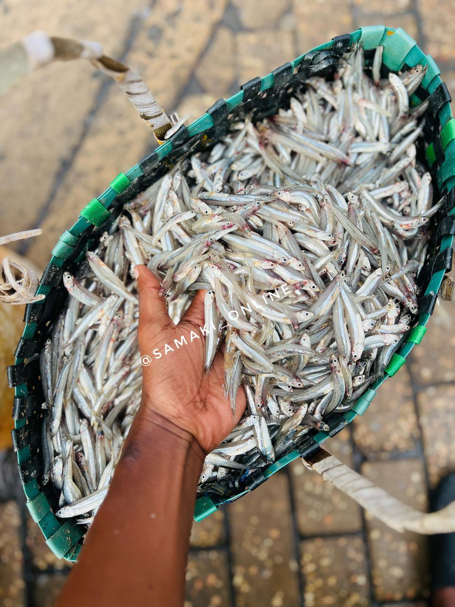 Samaki Online tweet media