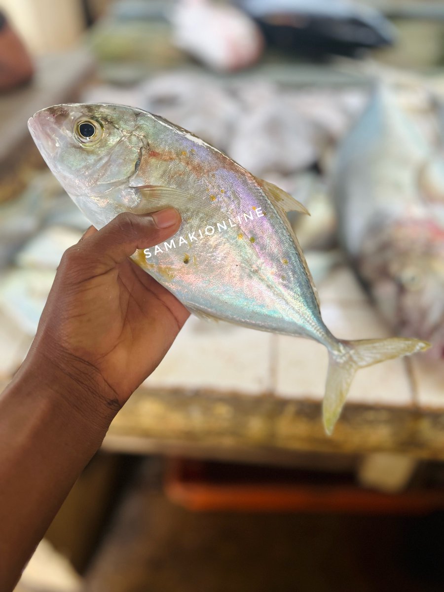 Samaki Online tweet media