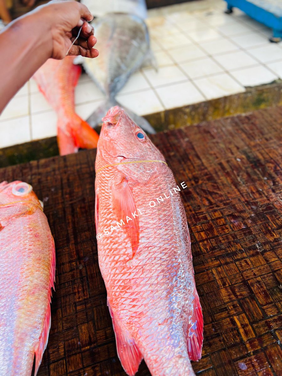 Samaki Online tweet media