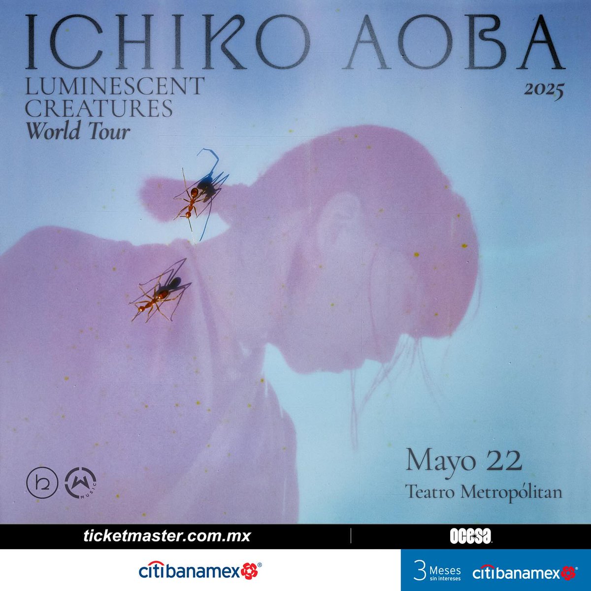 Revista Kuadro (@revistakuadro) on Twitter photo ¡No te puedes perder a <a href="/ichikoaoba/">ICHIKO AOBA</a> este jueves en el Teatro Metropólitan!
Todo el dato aquí 🎟️👉🏽short-link.me/ZJNL ¡No te puedes perder a <a href="/ichikoaoba/">ICHIKO AOBA</a> este jueves en el Teatro Metropólitan!
Todo el dato aquí 🎟️👉🏽short-link.me/ZJNL