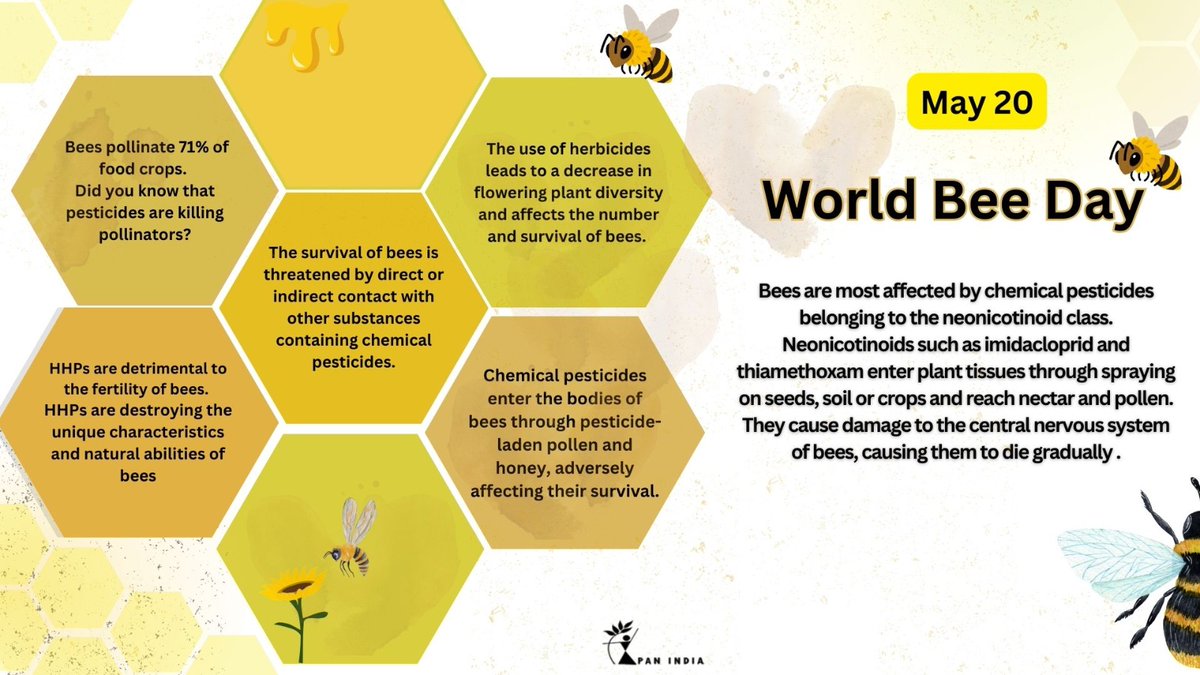On World Bee Day, let's shine a spotlight on the silent heroes of our ecosystem - bees! Neonicotinoids, a widely used class of insecticides, and other Highly Hazardous Pesticides (HHPs), pose a significant threat to these vital pollinators. 
#worldbeeday #savethebees #agroecology