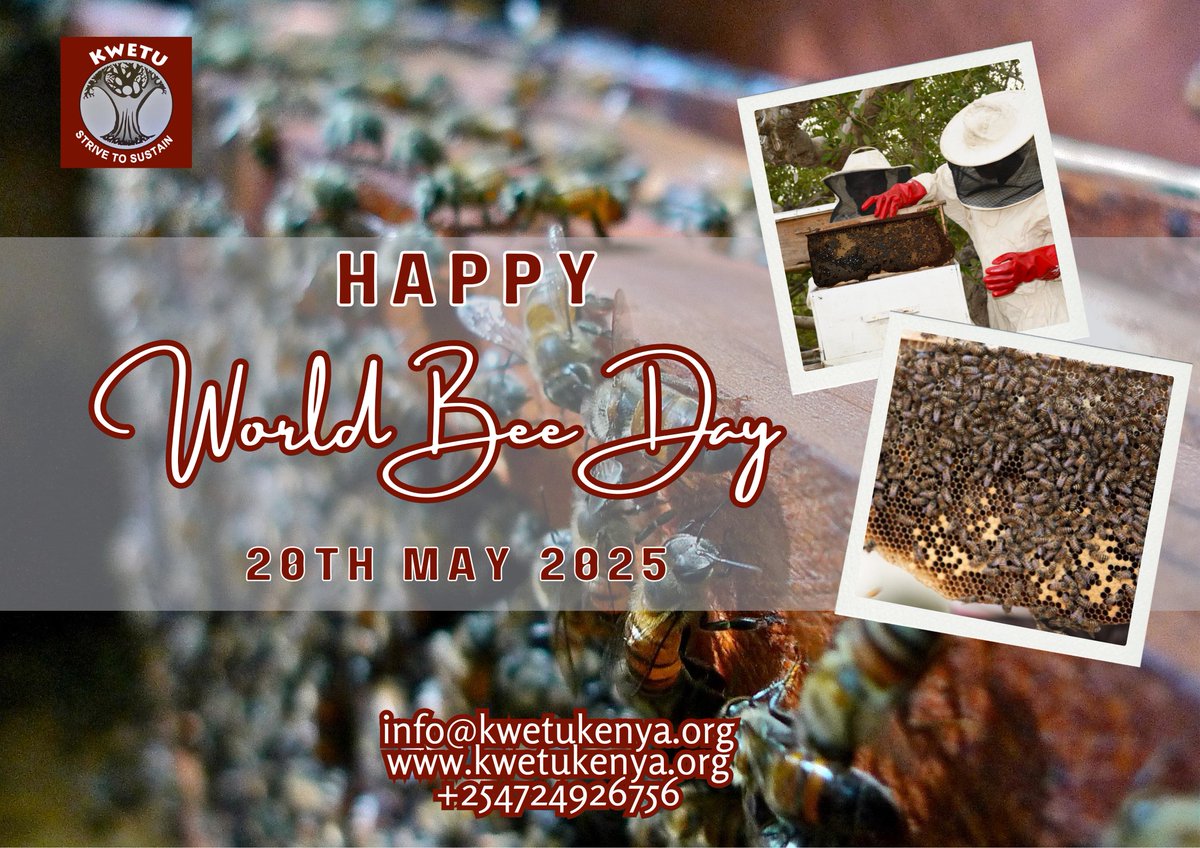 #WorldBeeDay is here! 
This year’s theme: "Inspired by Nature to Nourish Us." 
Choosing #KWETUHoney helps:  
🌿 Protect #Biodiversity  
🍯 Strengthen #SustainableFoodSystems  
💛 Empower communities  
Sweet for you, sweeter for Earth! 
#SavetheBees #BeeTheChange
