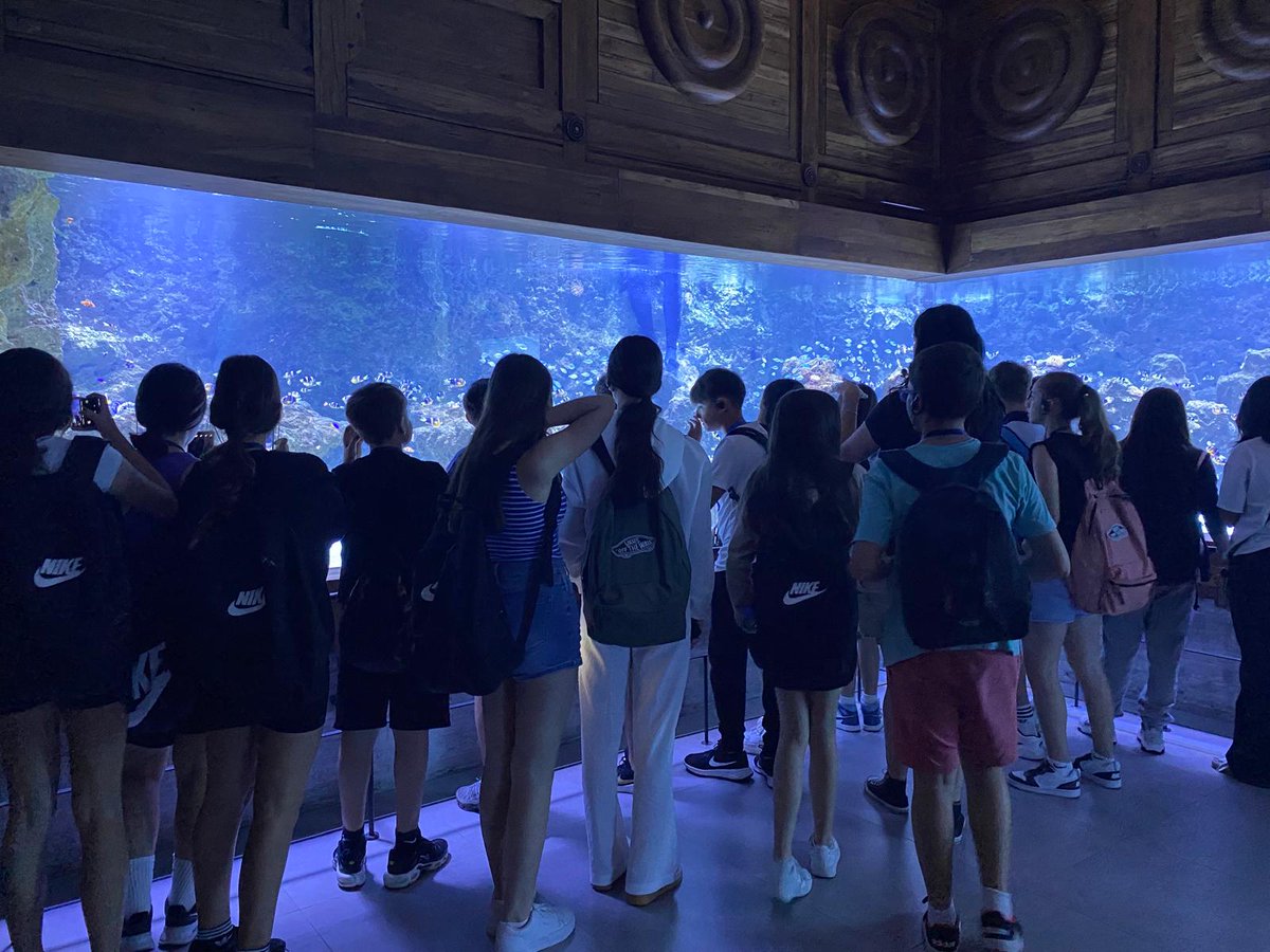 IESGeraldBrenan's tweet photo. 1º ESO y Aula Específica disfrutaron el 15 mayo de Bioparc Fuengirola. Actividad del Dpto de Inglés con visita guiada en inglés y un doble objetivo: naturaleza, convivencia y práctica del idioma. #actividadesgbrenan #noticiasinglés #aulaespecifica
@educacionmlg
@BioparcF https://t.co/3weI8tztOj