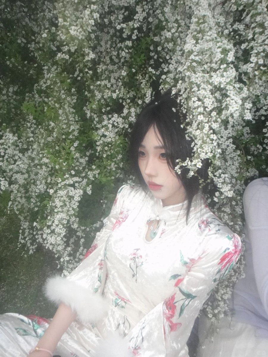 辰苏七安 tweet media