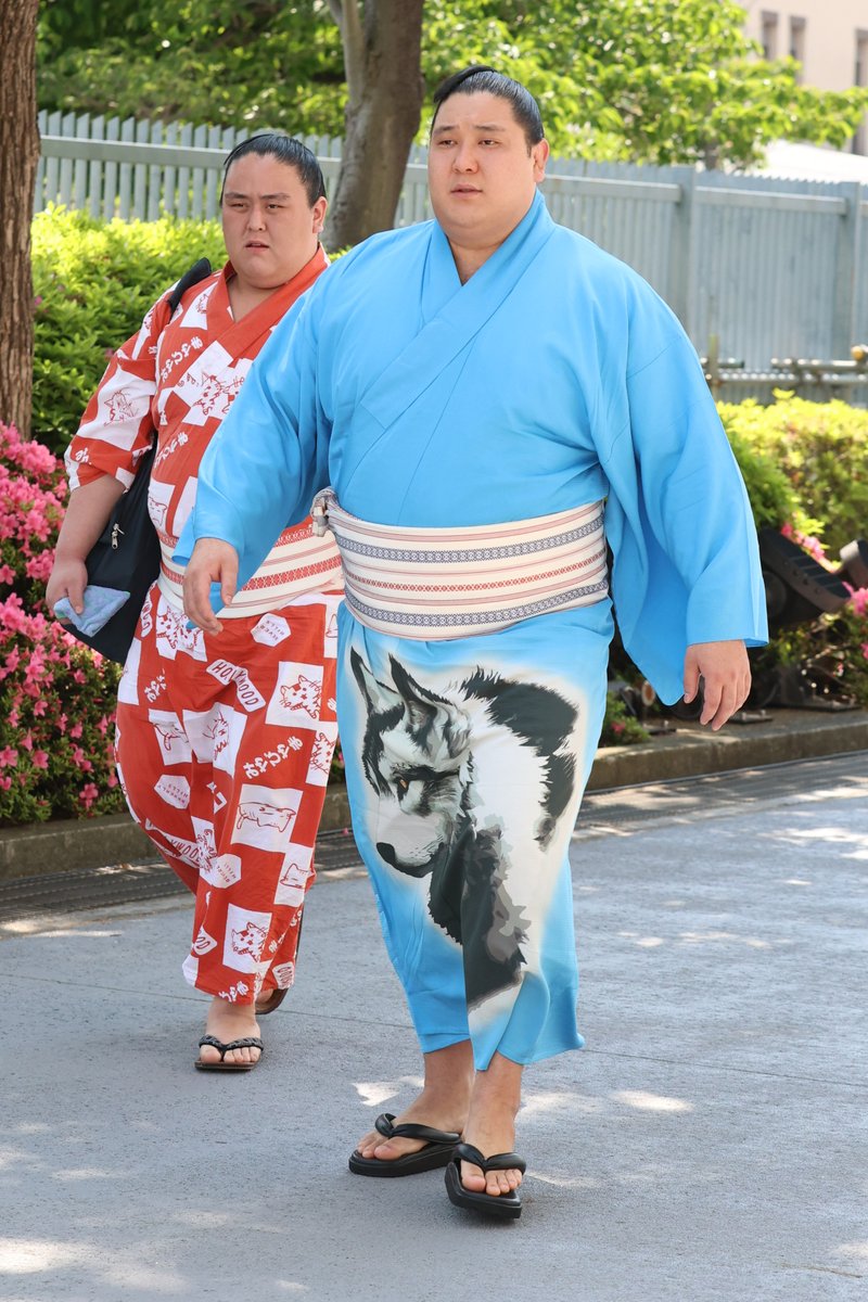 大相撲五月場所＞ 場所入り。 安青錦、狼雅。 #sumo #相撲 #五月場所