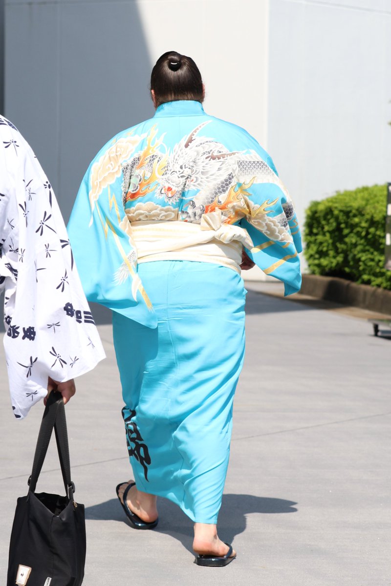 大相撲五月場所＞ 場所入り。 安青錦、狼雅。 #sumo #相撲 #五月場所