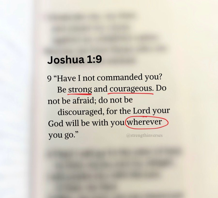 Bible 365 (@bible365_) on Twitter photo 