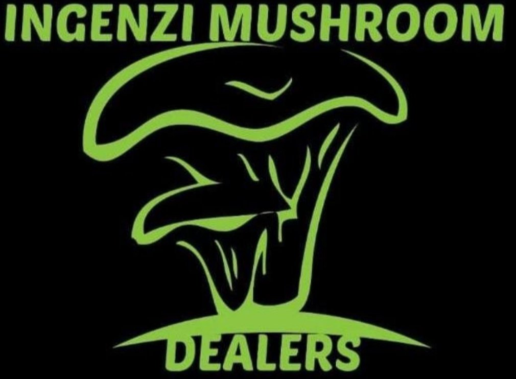 Hello! We’re offering high-quality mushroom tubes to help you grow your own mushrooms at home or on your farm. Get yours today  only RWF 600 per tube. Fast delivery available! 🧺🍄 0780898756/0788754166