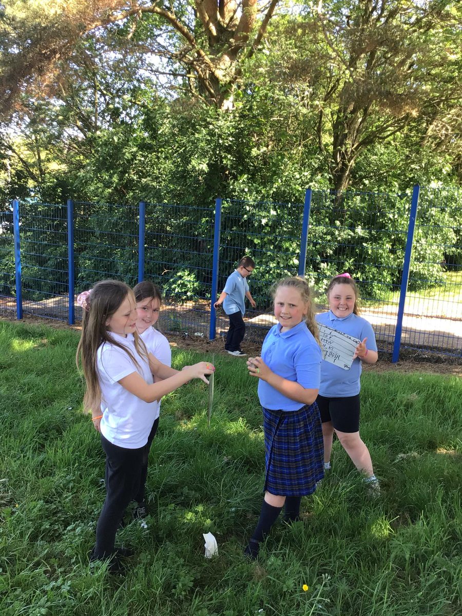 P4/5 have been learning how to record information in tables and convert it into bar charts. We went outside to record the different colours of cars around our school. Then, we used that information to create bar charts. 🚗 📊
