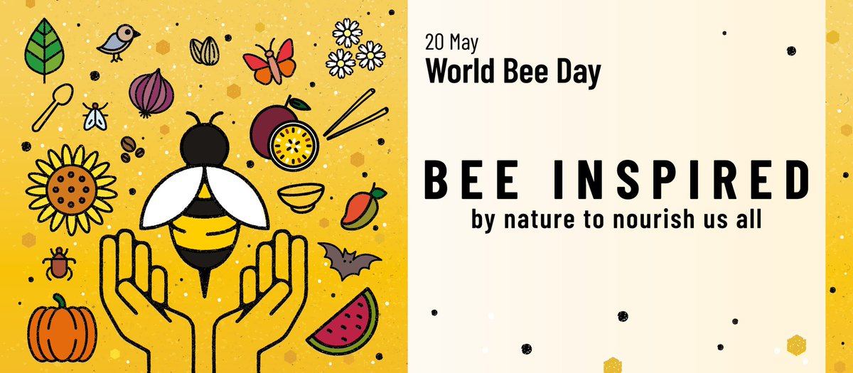 SLOinCZE's tweet photo. 🐝 HAPPY WORLD BEE DAY 2025 🐝
We celebrate 8th #WorldBeeDay! Through #pollination of plants and crops, #bees play a key role in promoting #sustainability, preserving biodiversity and achieving #ZeroHunger. 🪲🌻🐞🌾🐝
#BeeResilient #SaveTheBees #BeeResponsible https://t.co/ZKXujhMP3b