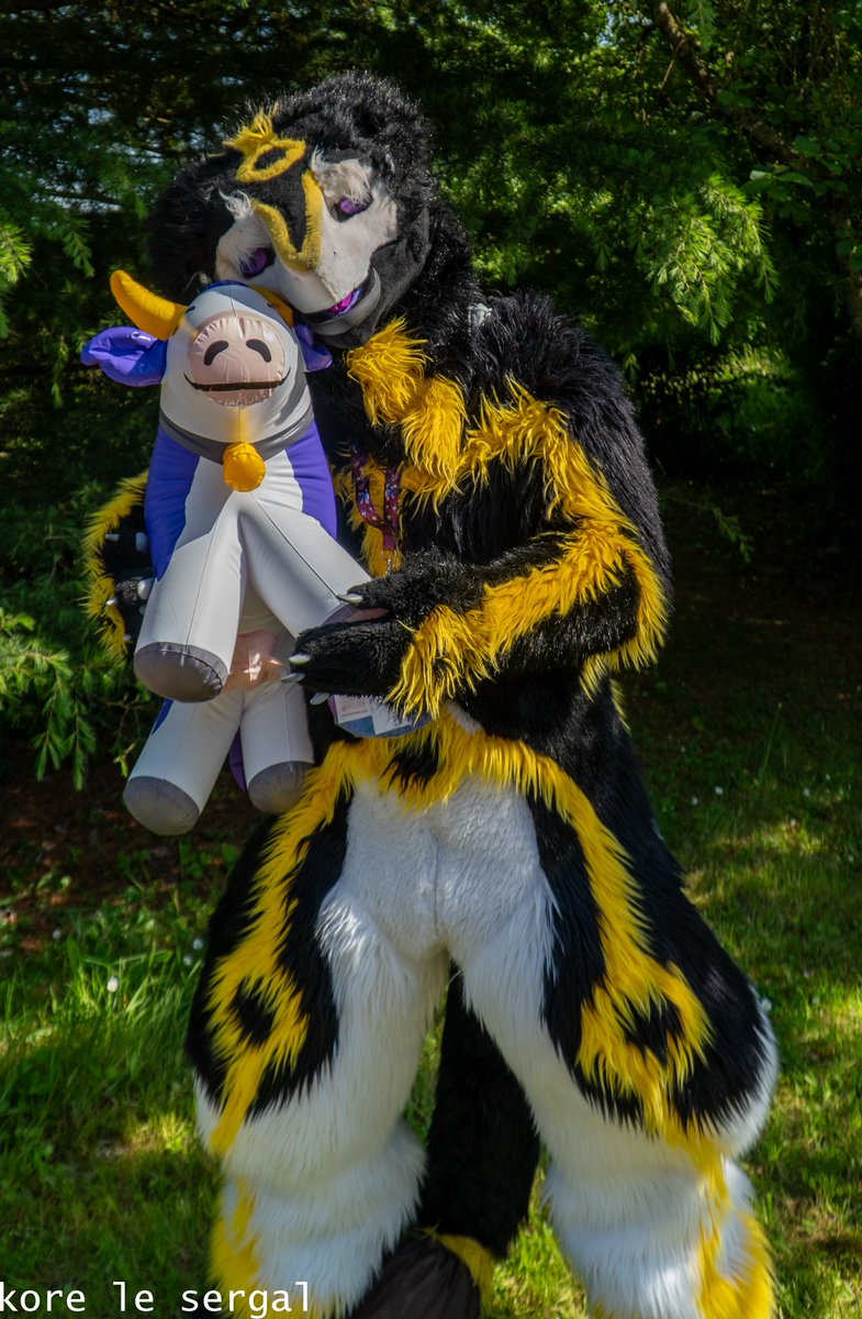 Ma vache milka est venue  avec moi à la convention  furfurieux