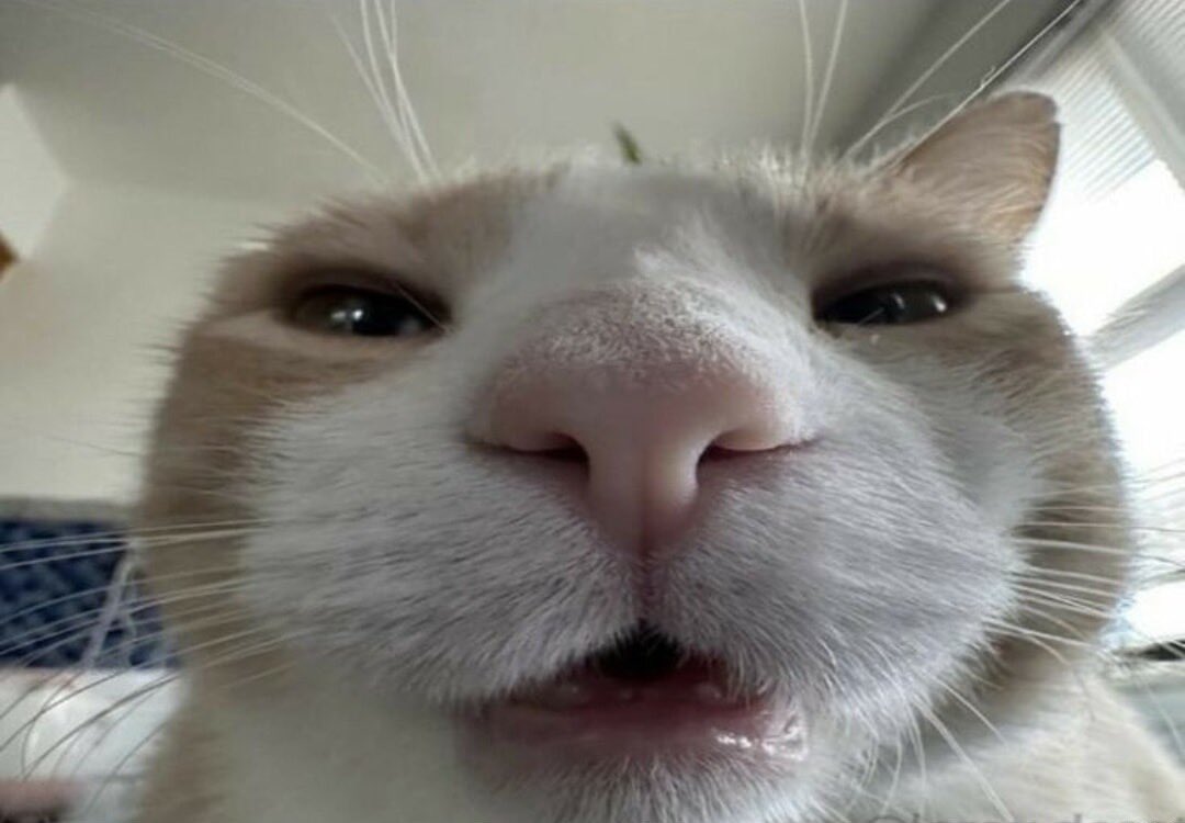 DallTheDoll's tweet image. How did u figure dat out…