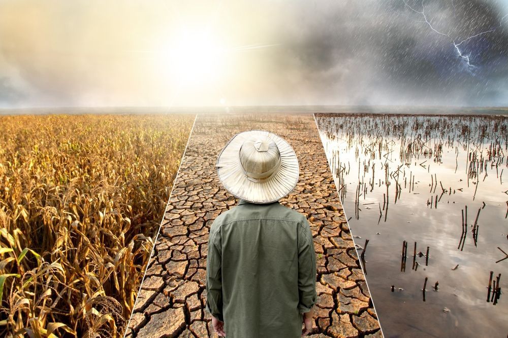 #Trump shuts down a database that has recorded the cost of #climate disasters since 1980. 

The #US President's "crusade" against climate agencies continues. 

More information in the news – surl.lu/awaewn

#ecopolitic #ecology #environment