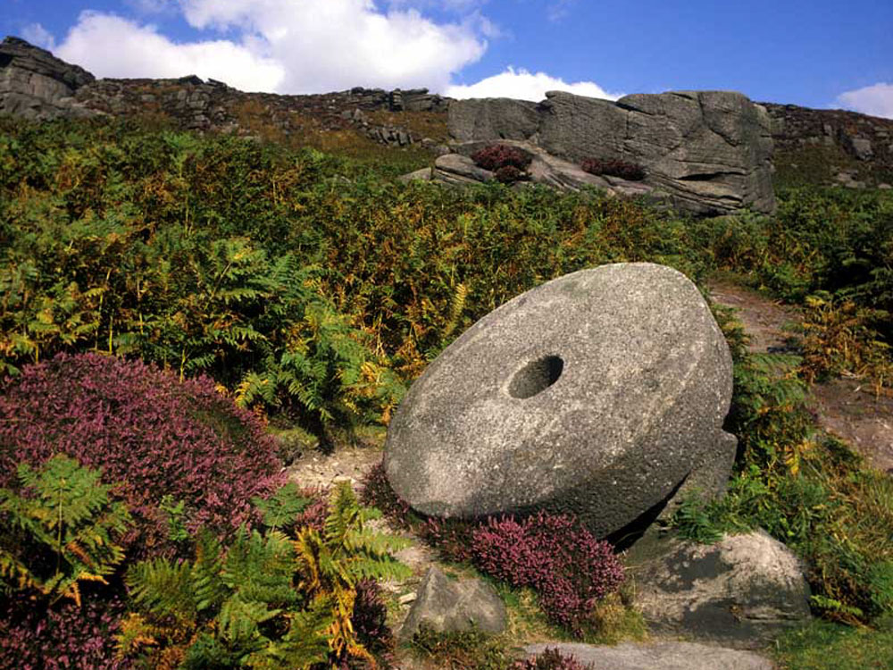 We are currently recruiting for the following vacancies...

👉 Business Centre Advisor
👉 Data, Strategy &amp; Performance Officer
👉 Farm Advisor Trainee
👉 HR Administrator (Apprenticeship)

Apply online: bit.ly/pdnp_jobs

#careers #vacancies #jobs