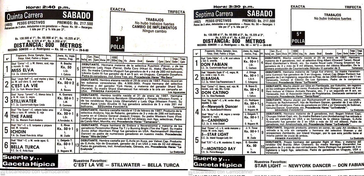 #Hipismo #RecordarEsVivir El 20/05/1989 debutaron en #LaRinconada (800 mts.) dos purasangres inolvidables: STILLWATER ganó en su serie y DON FABIÁN llegó 2° de STAR LIGHT que en esa carrera impuso marca mundial de 44⅕.   

Foto Collage: <a href="/Monedo/">Mario Rodriguez</a>