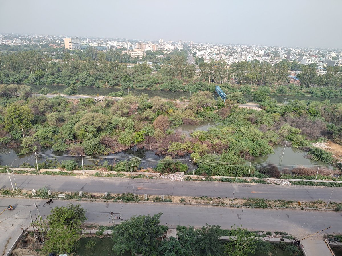BeingAvenger's tweet photo. Pathetic cndn of sec 75 near Terra Lavinium in #satellitecity #Faridabad. No one from authrty visits the area, trees are almst on the roads now, no street lights makes it totally unsafe. Stalled water, mosquitoes and water borne ailments. @sdm_faridabad @VipulGoelBJP https://t.co/7paI7l1Xhy