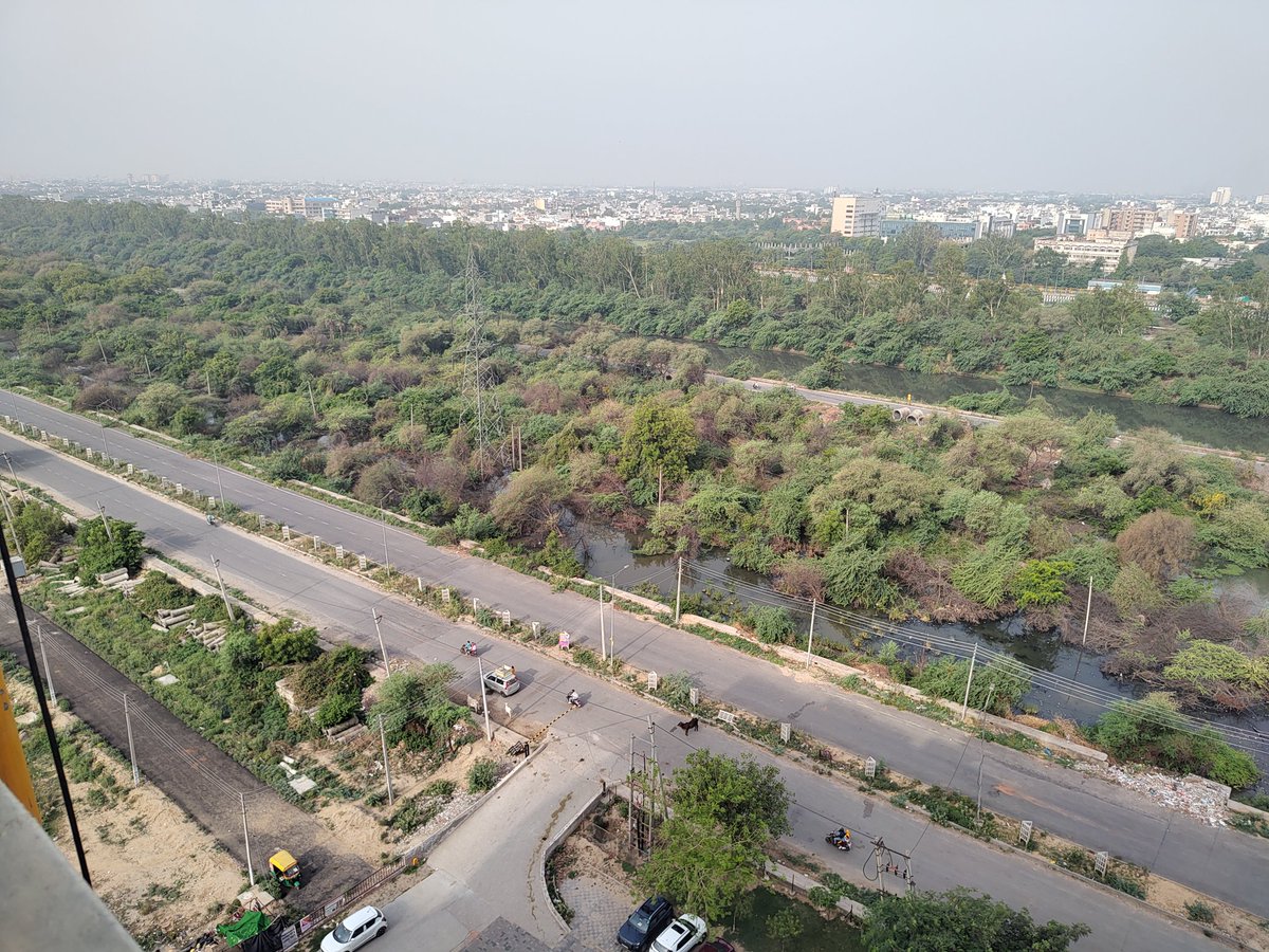 BeingAvenger's tweet photo. Pathetic cndn of sec 75 near Terra Lavinium in #satellitecity #Faridabad. No one from authrty visits the area, trees are almst on the roads now, no street lights makes it totally unsafe. Stalled water, mosquitoes and water borne ailments. @sdm_faridabad @VipulGoelBJP https://t.co/7paI7l1Xhy