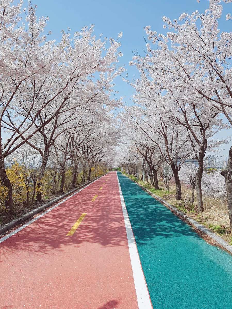 Master3Language's tweet image. Strolling Through Seoul’s Cherry Blossom Wonderland

■Learn Korean in a fun &amp;amp; small group class with a native teacher! bit.ly/KoreanGroupCla…
■Source: pexels.com

#SeoulInBloom #CherryBlossomWalk #SpringInSeoul #BlossomWonderland #learnkorean #SouthKorea #seoul