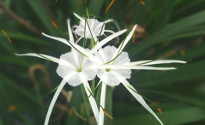 jaisrihari tweet media