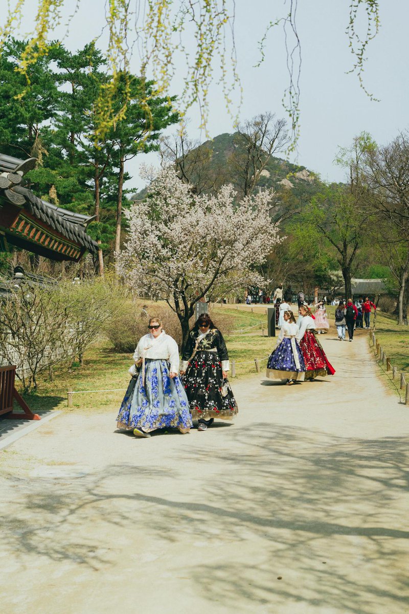 Master3Language's tweet image. Hanbok Elegance at Gyeongbokgung Palace

■Learn Korean with 1-on-1 lessons from a native teacher! bit.ly/PrivateKoreanC…
■Source: pexels.com

#HanbokElegance #GyeongbokgungGrace #SeoulHeritage #TraditionAndBeauty #learnkorean #SouthKorea #hanbok #seoul
